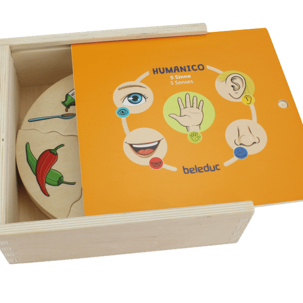 jeux de cinq sens hamanico puzzle