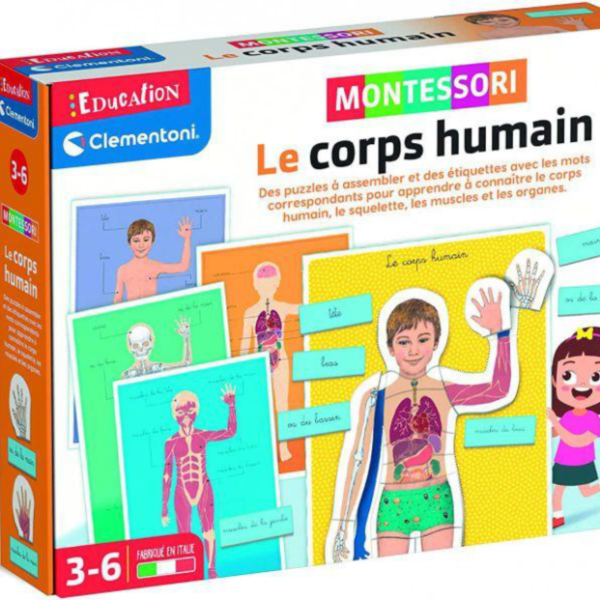 mentessori corps humain grand